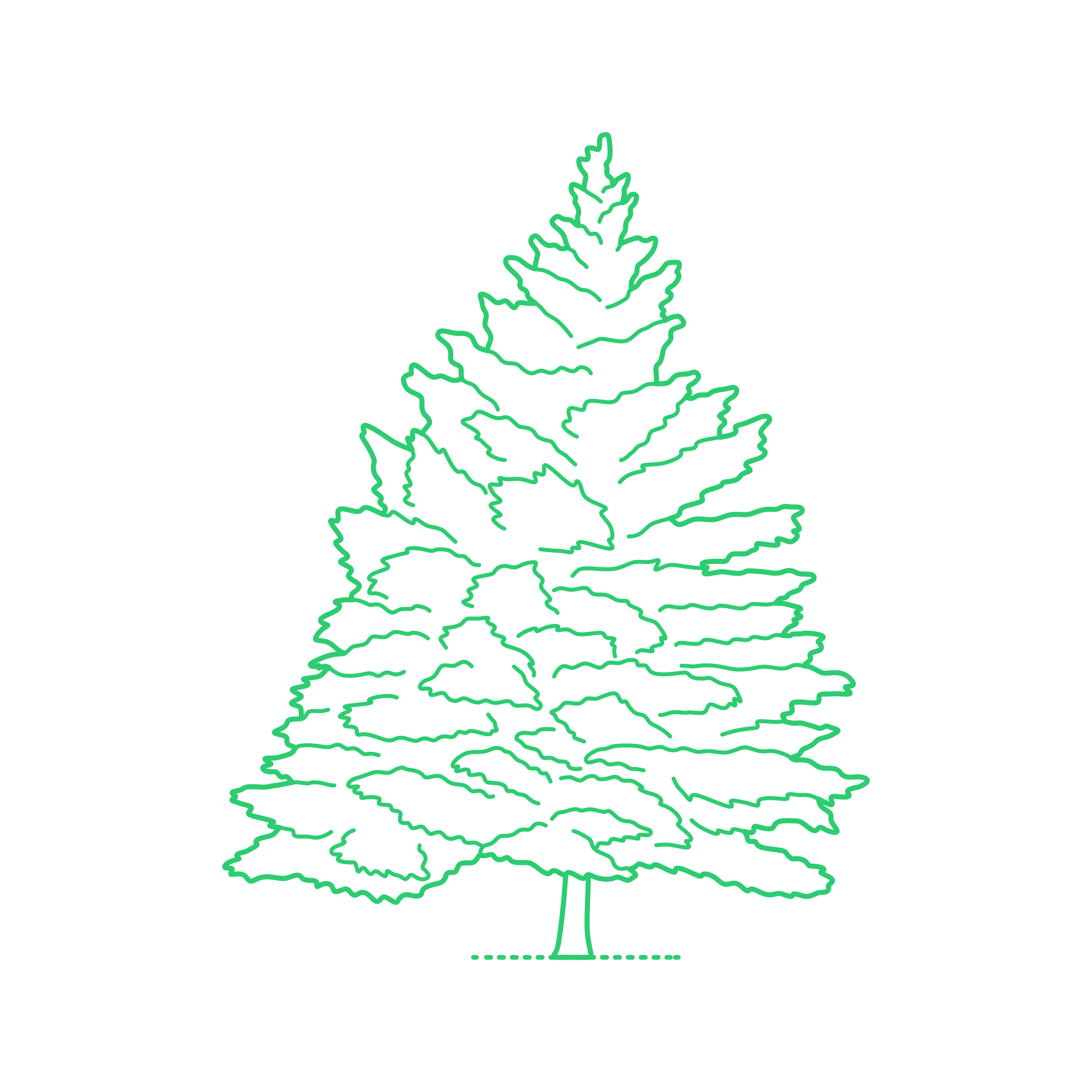 Plants Cedars Cyprus Cedar Engraving Svg Design Free Vectors